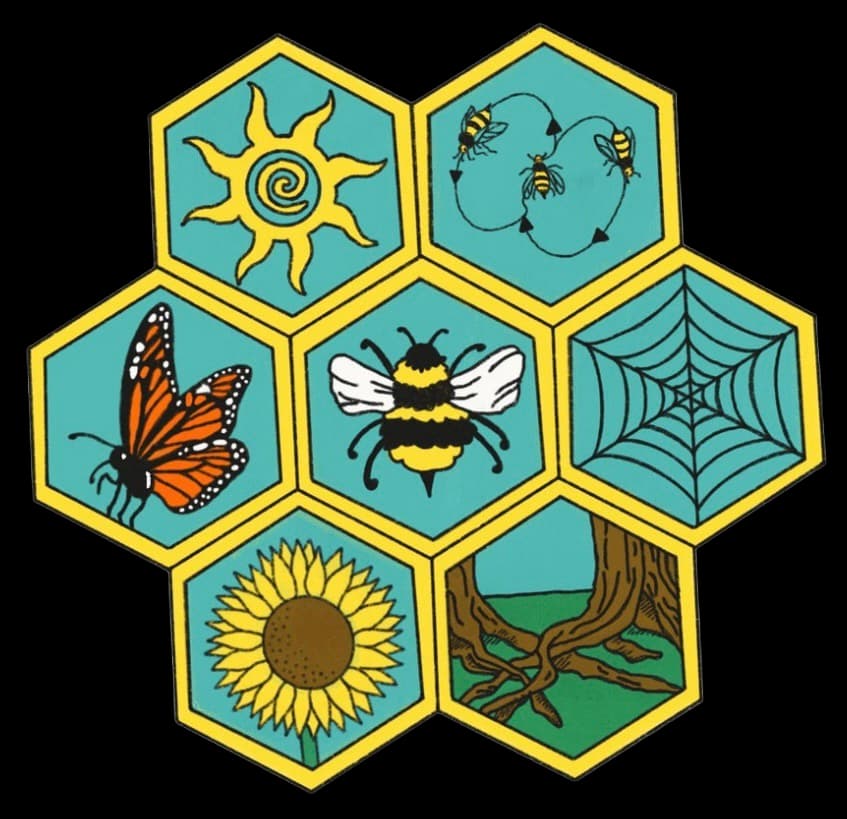 YCSLA logo